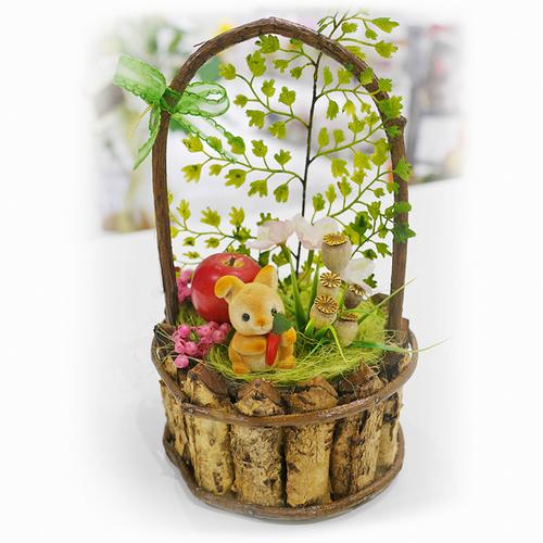 grace-dore | 乐天海外销售: blanse 花卉礼品森林动物系列合唱团生日